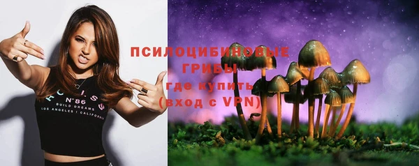 эйфоретик Алексин